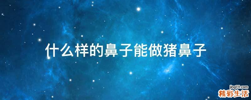 什么样的鼻子能做猪鼻子