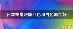 日本蛇毒眼膜红色和白色哪个好