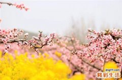 低血压低血糖怎么办
