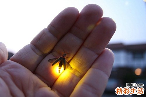 6 10个小方法 防范职业病