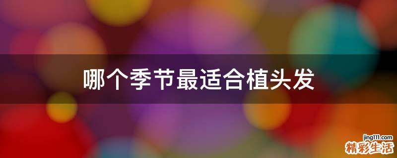 哪个季节最适合植头发
