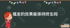 植发的效果能保持终生吗