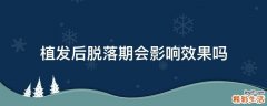 植发后脱落期会影响效果吗