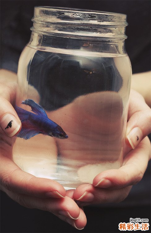 瘫痪病人的福音―动力脑电波技术使你进入精神世界