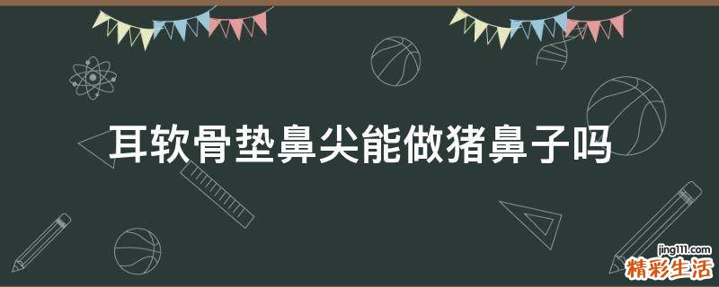耳软骨垫鼻尖能做猪鼻子吗