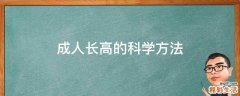 成人长高的科学方法
