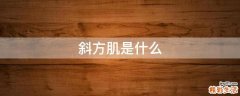 斜方肌是什么