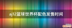 aj12篮球世界杯配色发售时间