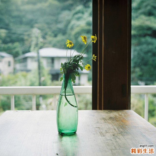 露蜂房酒