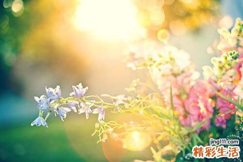老人夏季吃什么