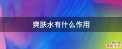 爽肤水有什么作用