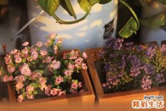有效缓解脊柱疲劳的五个动作