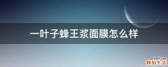 一叶子蜂王浆面膜怎么样