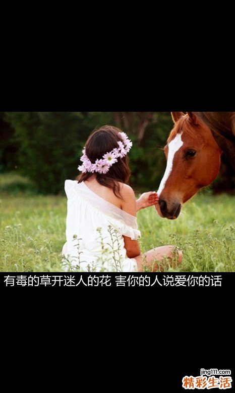 2 红莲子草