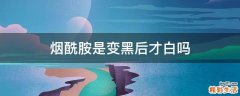 烟酰胺是变黑后才白吗