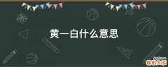 黄一白什么意思