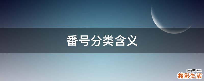 番号分类含义