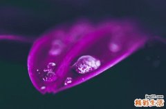 2023年谷雨是好日子吗