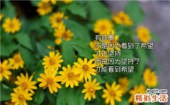 7 调气养血 拯救办公一族