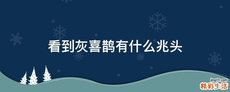 看到灰喜鹊有什么兆头