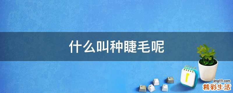 什么叫种睫毛呢