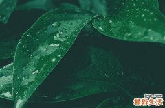 有关谷雨的传说