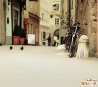 人参的功效及服用方法