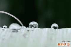 谷雨下雨好还是不下雨好 谷雨下雨预示着什么