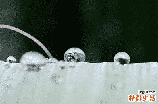 谷雨下雨好还是不下雨好 谷雨下雨预示着什么
