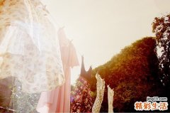糖尿病的典型表现