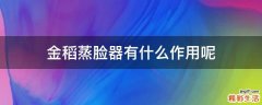 金稻蒸脸器有什么作用呢