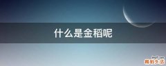什么是金稻呢