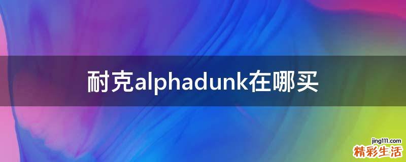 耐克alphadunk在哪买