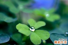 3 看白领如何对付肥胖