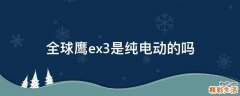 全球鹰ex3是纯电动的吗