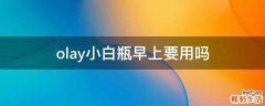 olay小白瓶早上要用吗