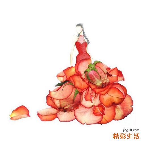 3 红花绿绒蒿
