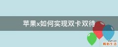 苹果x如何实现双卡双待