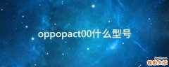 oppopact00什么型号