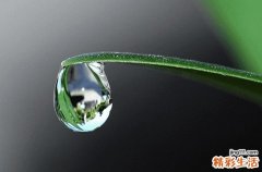 2023年谷雨时间几点几分几秒钟