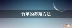 竹芋的养殖方法