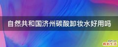 自然共和国济州碳酸卸妆水好用吗