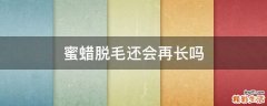 蜜蜡脱毛还会再长吗