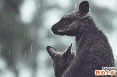 2023谷雨前后雨水多吗 谷雨还会倒春寒吗