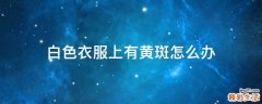 白色衣服上有黄斑怎么办