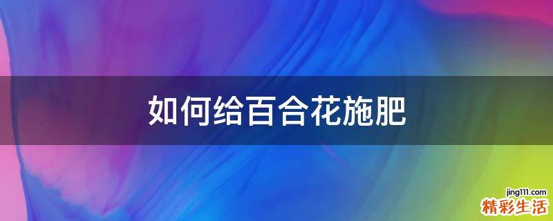 如何给百合花施肥