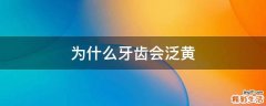 为什么牙齿会泛黄