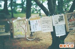 春季过敏不能吃什么