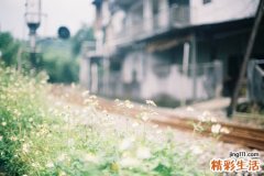 2 淡花当药