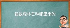 蚂蚁森林芒种哪里来的